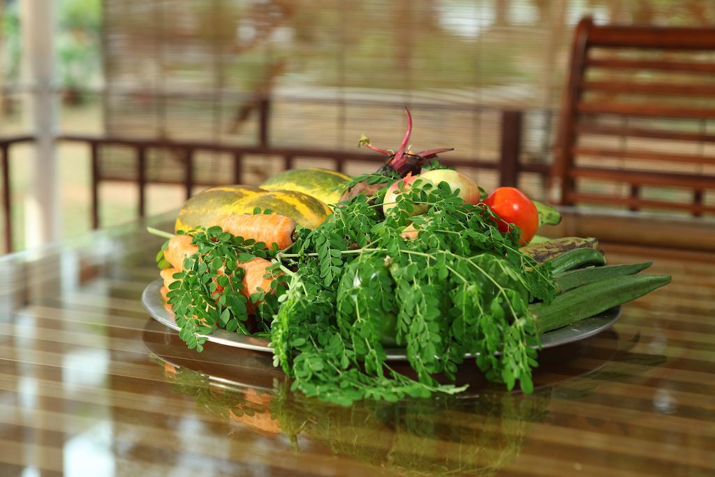The Health Village Alwaye Zewnętrze zdjęcie